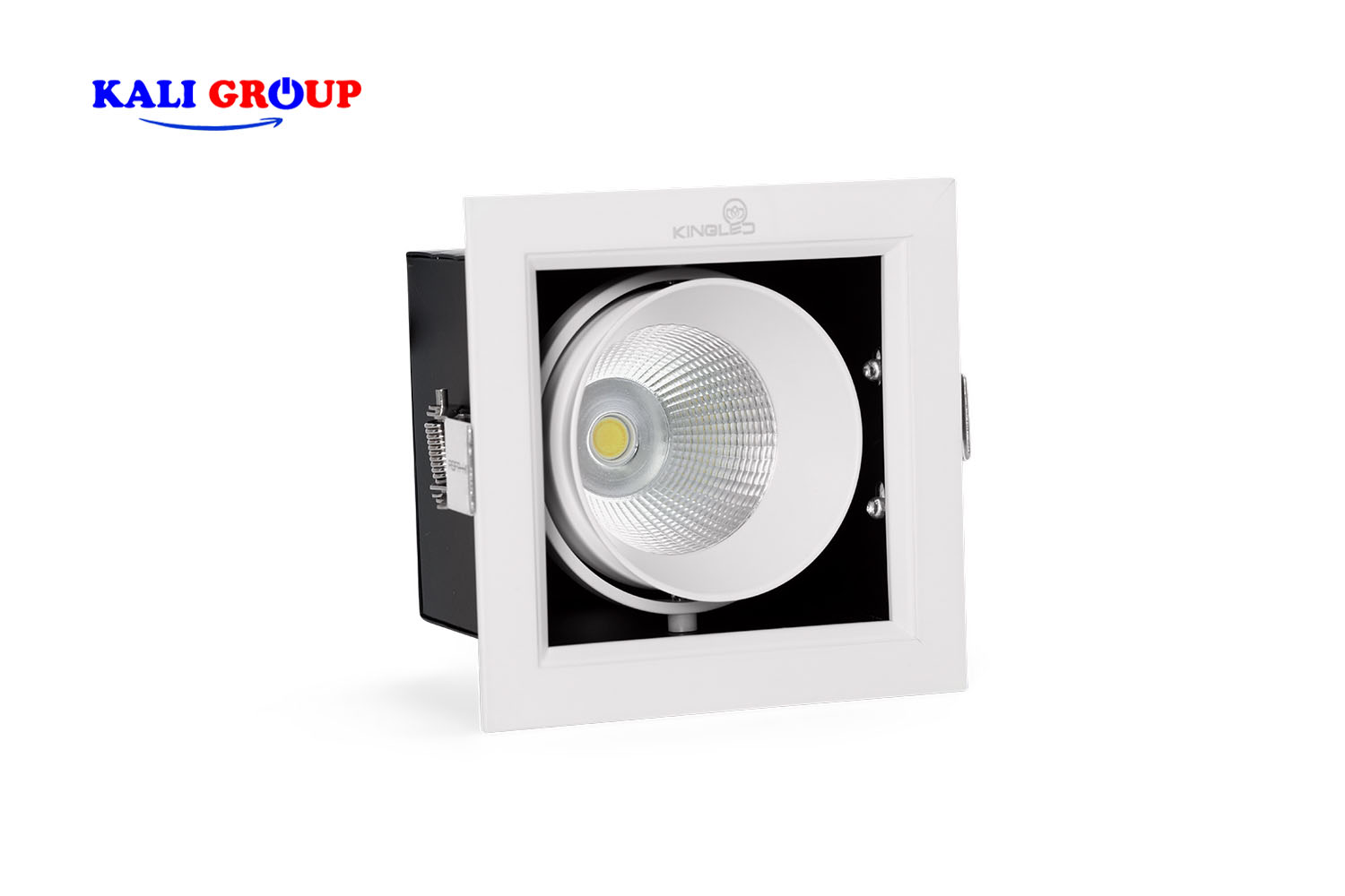 Đèn LED âm trần chiếu rọi GL-1*10-V120