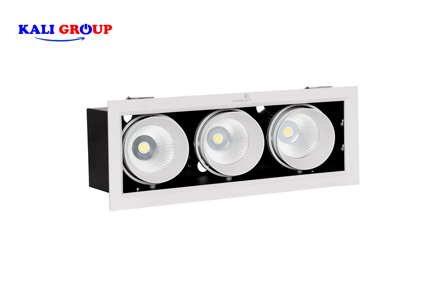Đèn LED âm trần chiếu rọi GL-3*10-V334