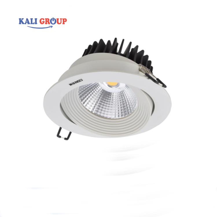 Đèn Spotlight chiếu điểm CET2322/R DW