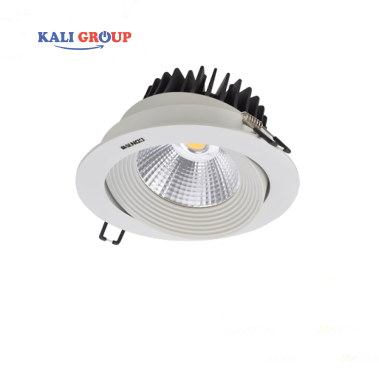 Đèn Spotlight chiếu điểm CET2326/R DW