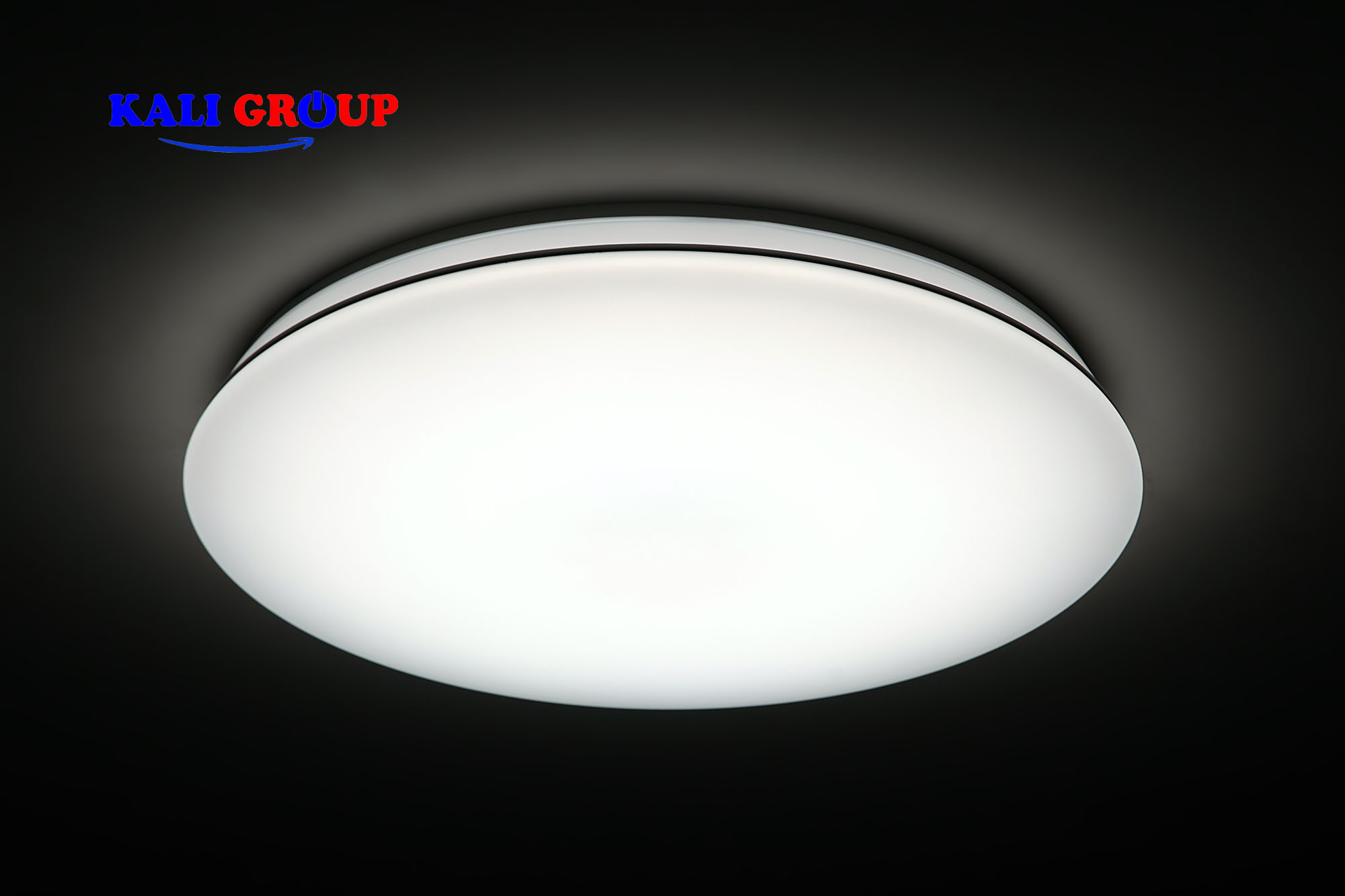 Đèn LED Ốp trần DL-C102