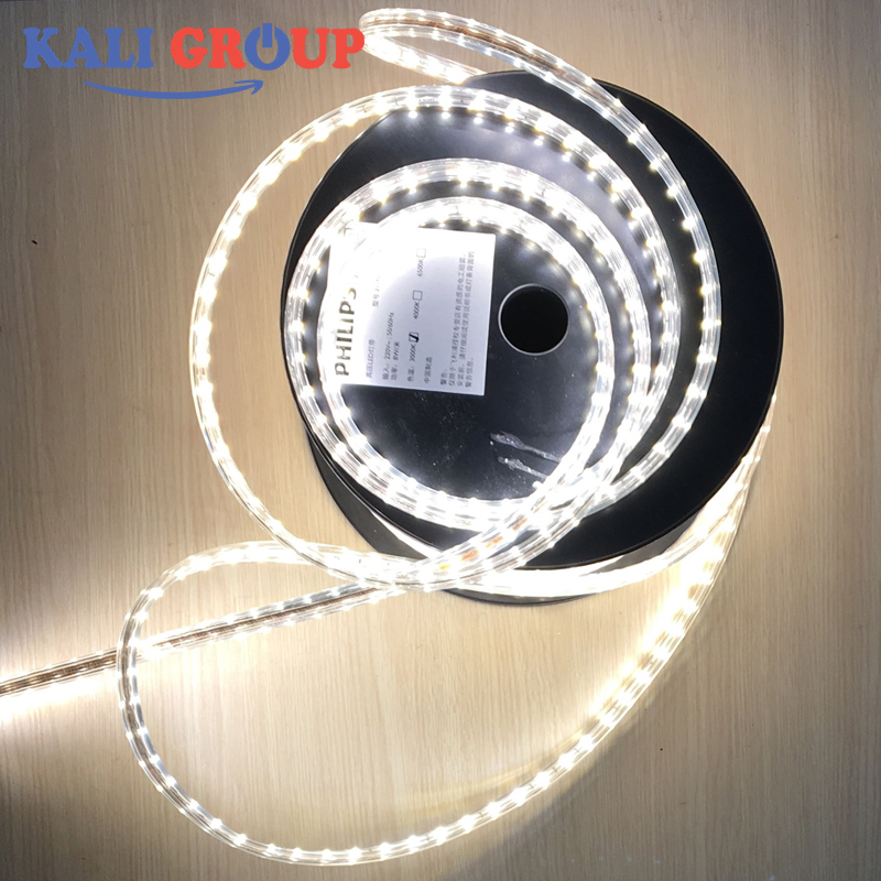 LED Dây Philips DLI 31059