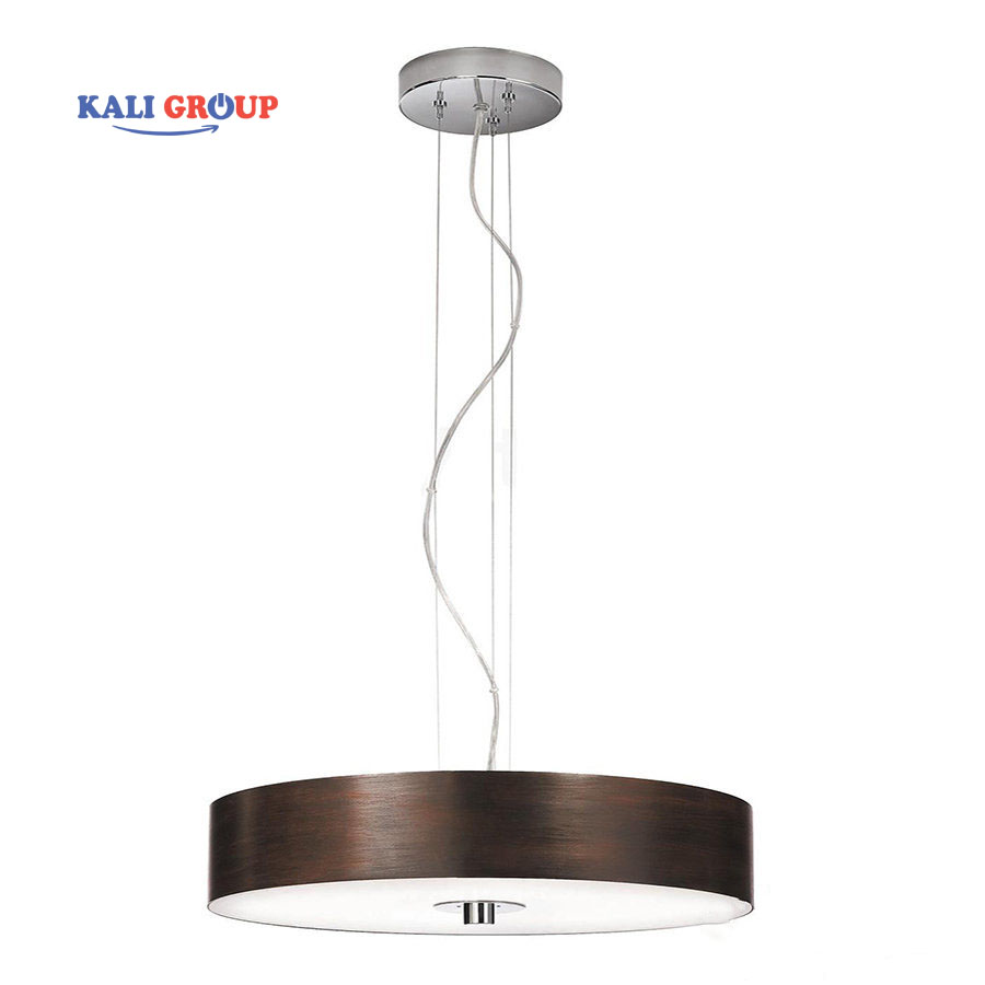 Đèn thả Philips 303
