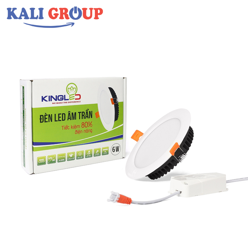 Đèn LED downlight DL-6-T100