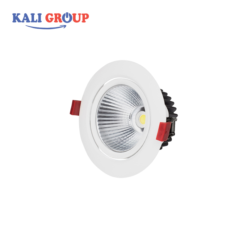 Đèn Spotlight chiếu điểm DLR-10-T110