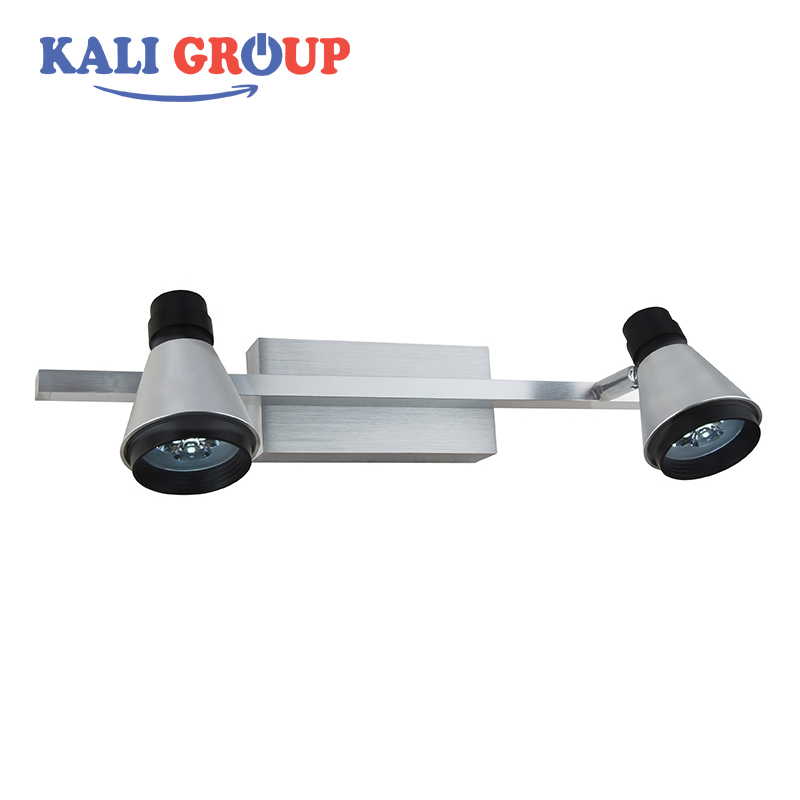 Đèn LED soi tranh LT2005-2BK