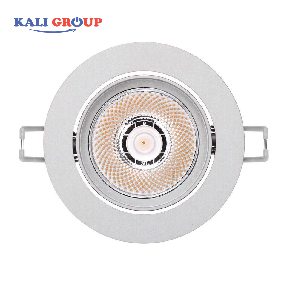 Đèn LED chiếu điểm VL-C20290I