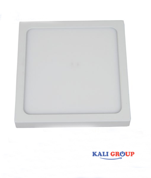 Đèn ốp nổi VL22-225-VMN