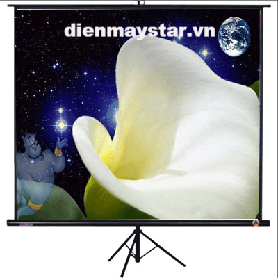 Màn chiếu 3 chân Regent 136inch (96×96inch)