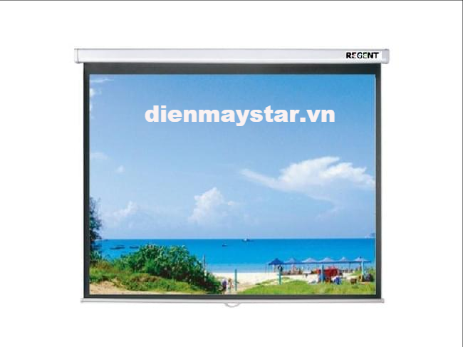 Màn chiếu 3D Regent 120inch (104” x 58,7'')
