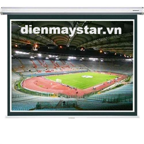Màn chiếu điện 3D Regent 100inch (87'' x 48,8'')