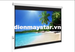 Màn chiếu điện Herin 300inch (240'' x 180'')