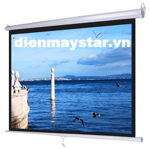 man-chieu-treo-tuong-herin-100inch-70-x-70