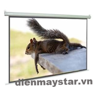 Màn chiếu treo giảm tốc Dalite 136inch ( 96