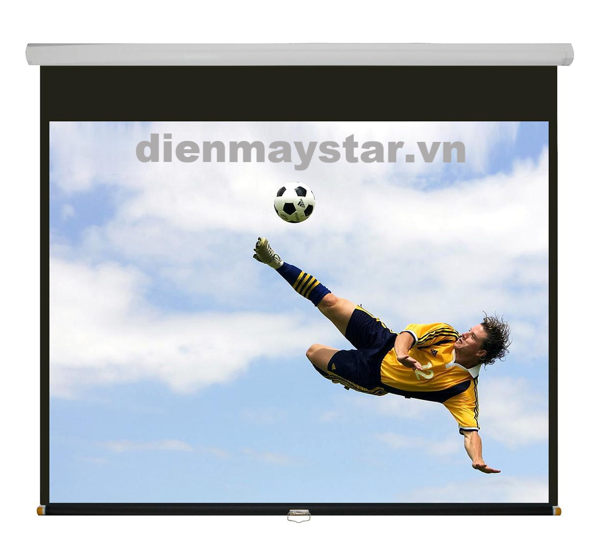 Màn chiếu treo tường Herin 100inch (84'' x 63'')