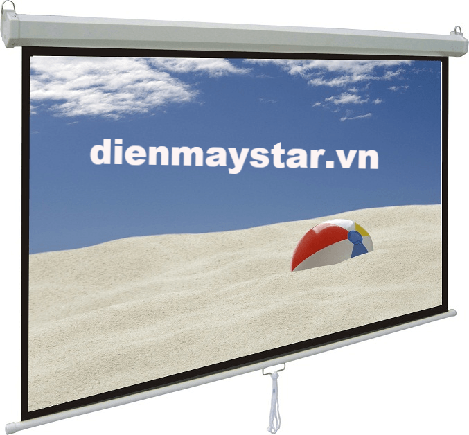 Màn chiếu treo tường Herin 120inch (96'' x 72'')