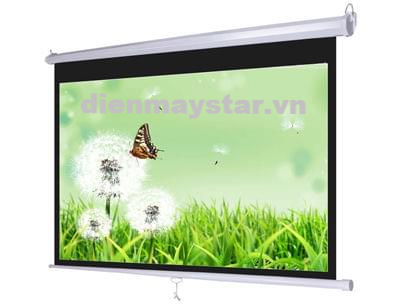 Màn chiếu treo tường Regent 120inch (104'' x 58,7'' )
