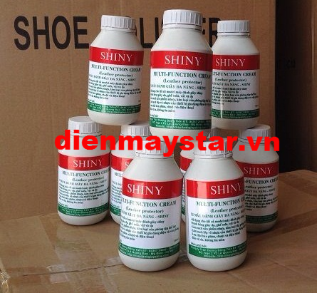 Xi máy đánh giầy tự động Shiny