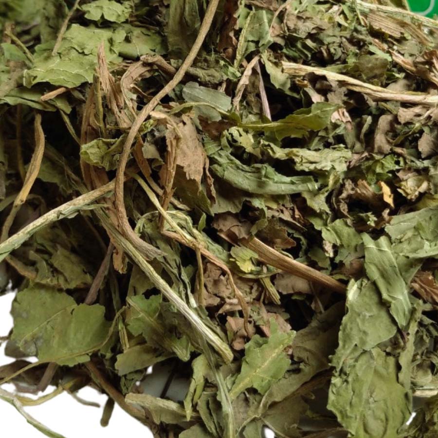 bo cong anh mua o dau tphcm