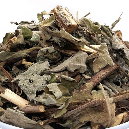 cây an xoa mua ở đâu