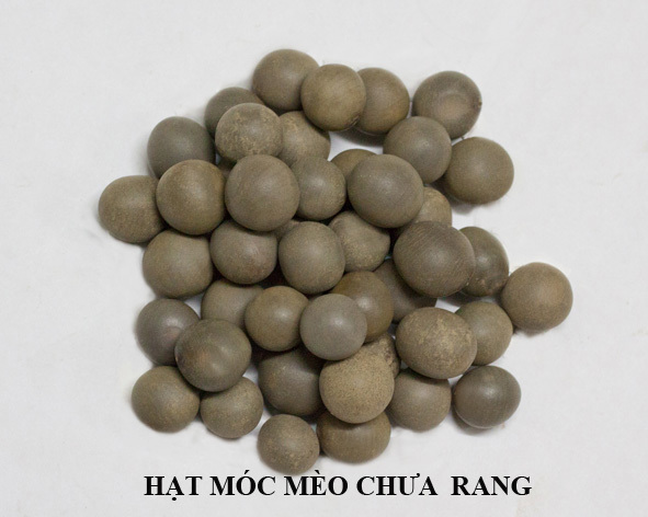 hạt móc mèo chưa rang