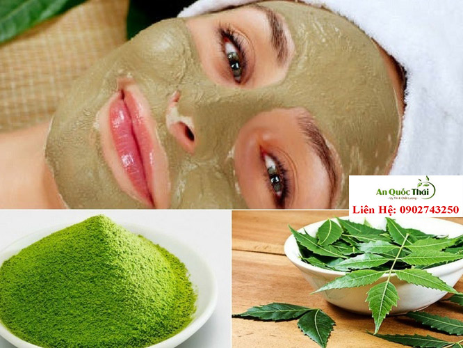 Bột lá neem trị mụn