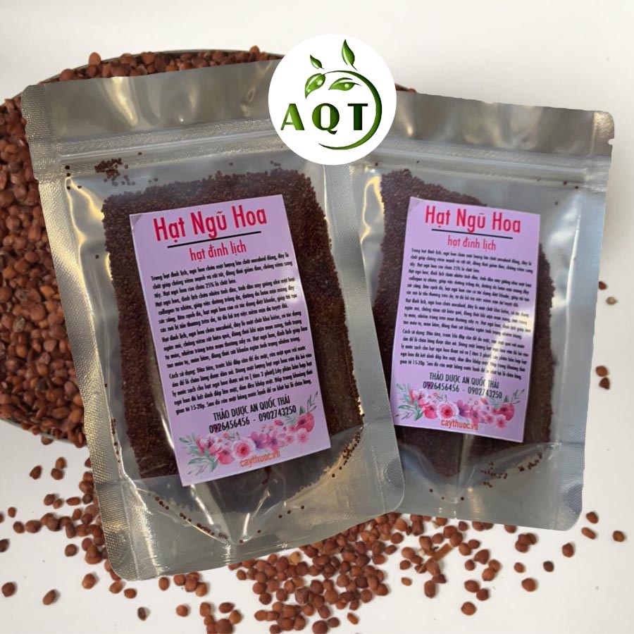 Hạt đình lịch mua bán ở đâu tốt?