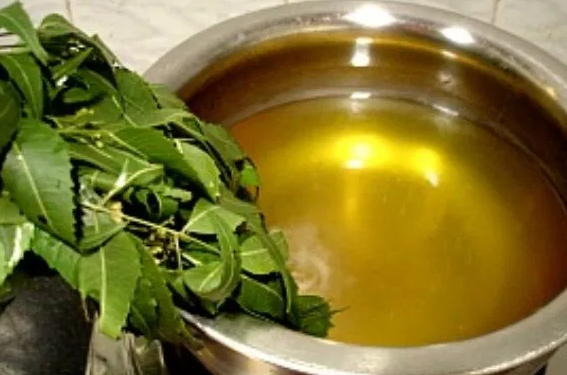 Tác dụng của lá neem Ấn Độ