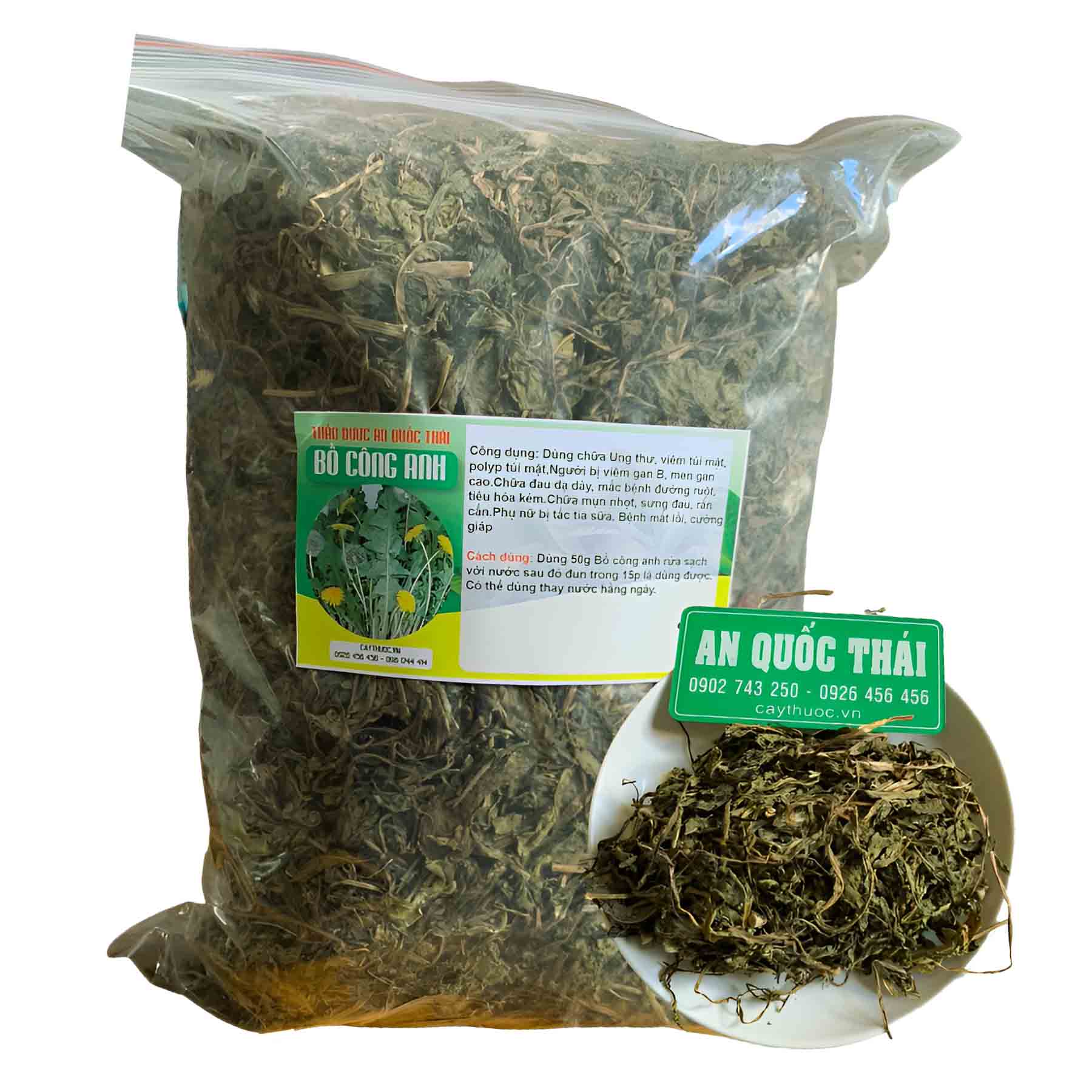 mua cay bo cong anh o dau