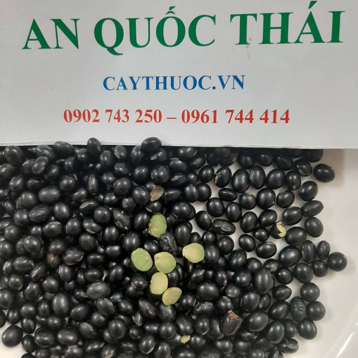 mua dau den xanh long o dau