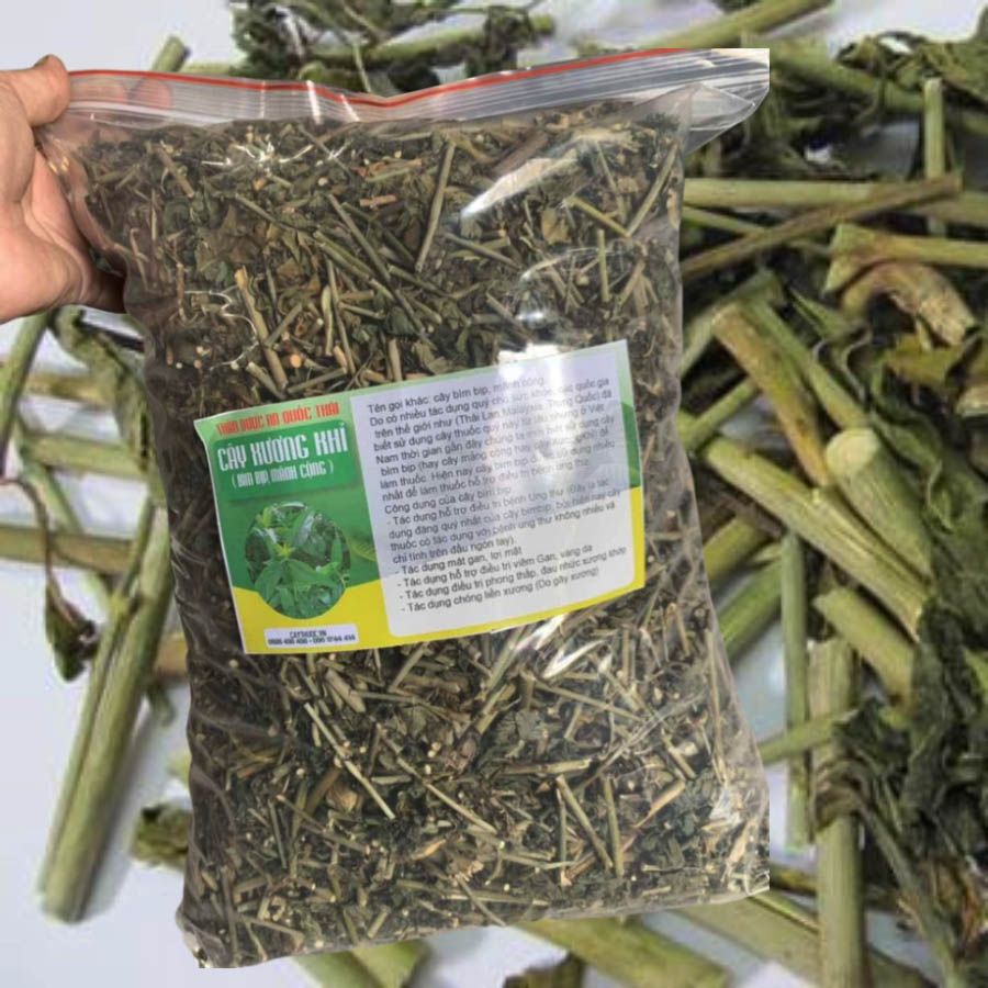 mua cay xuong khi o dau