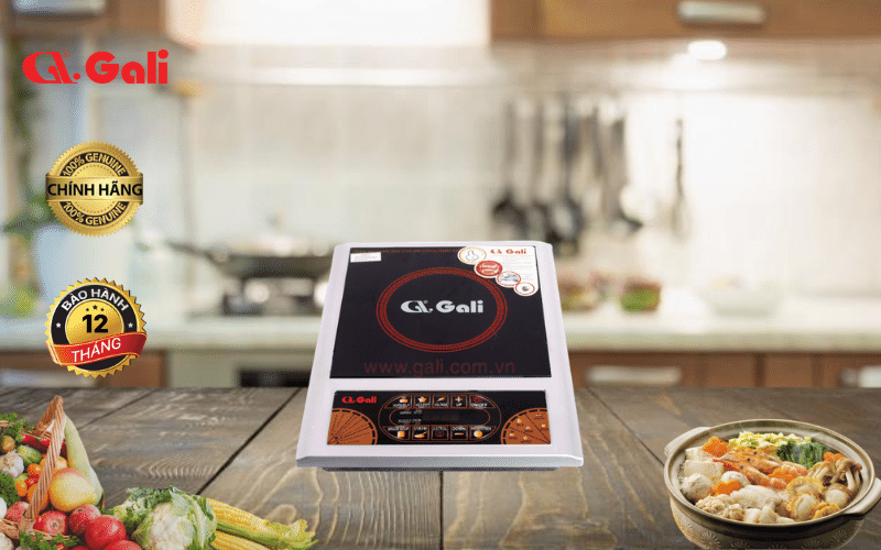 Bếp Halogen GL-3000