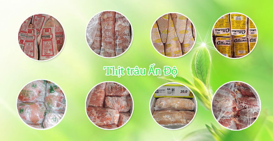 Ảnh banner số 3