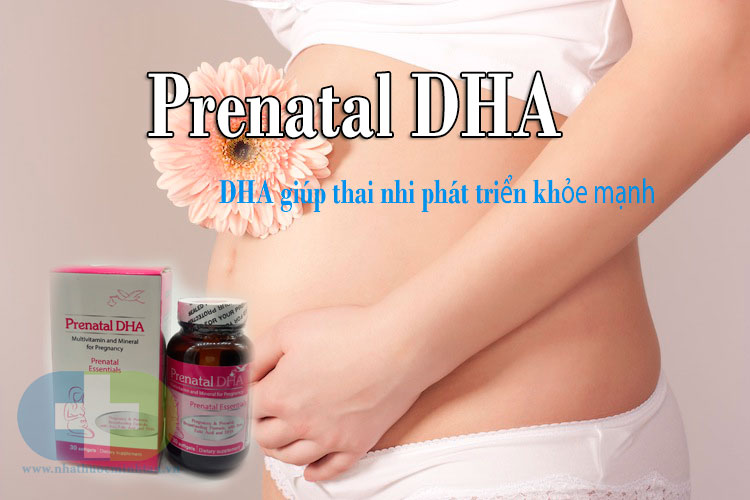 Công dụng của Prenatal DHA đối với phụ nữ mang thai tốt như thế nào? Công dụng của Prenatal DHA đối với phụ nữ mang thai tốt như thế nào?