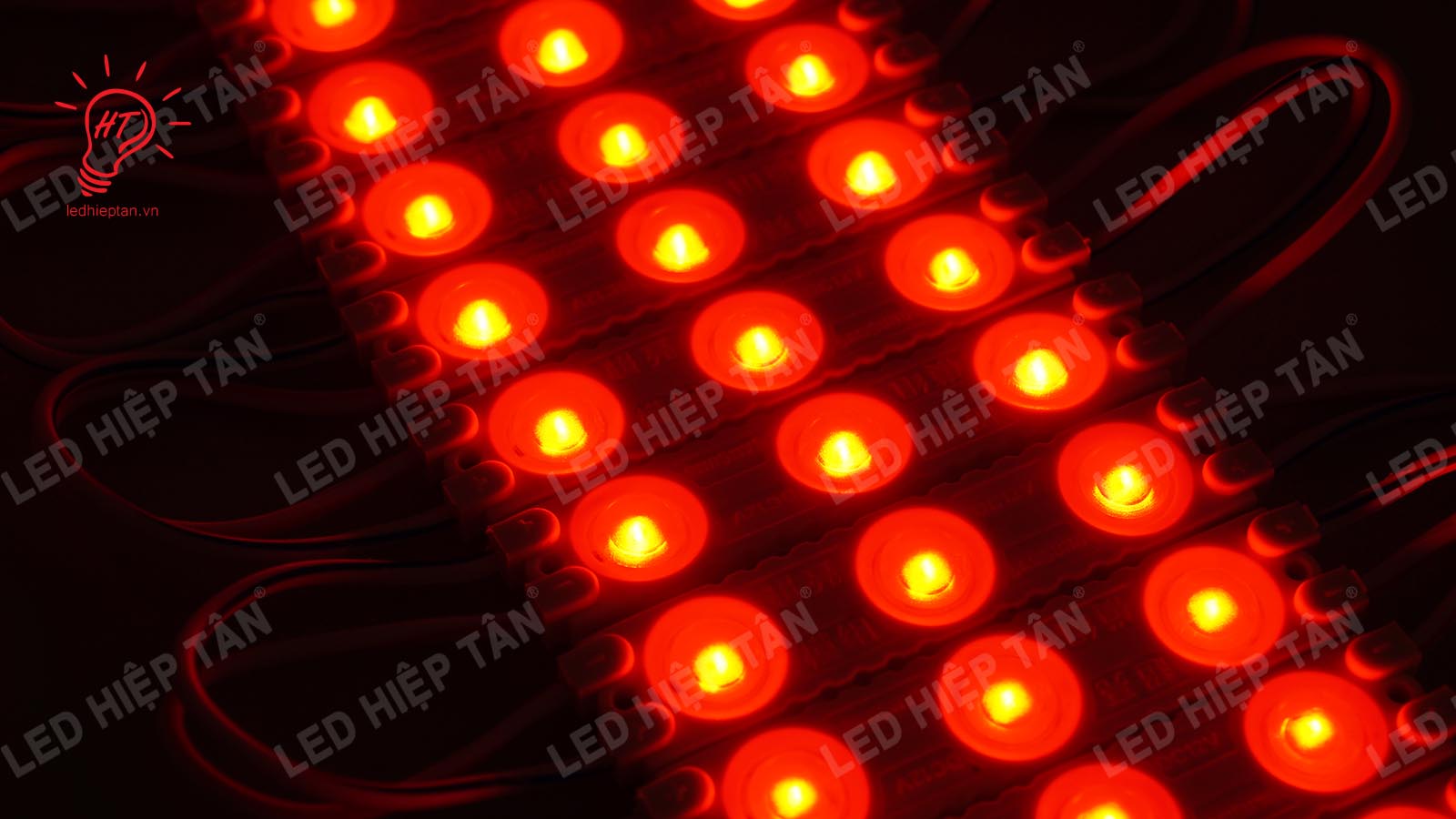 module-3-bong-duc-2835-super-1360-9.jpg?v=1561601109557