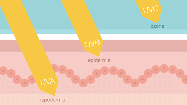 mức độ thẩm thấu vào da của tia uv