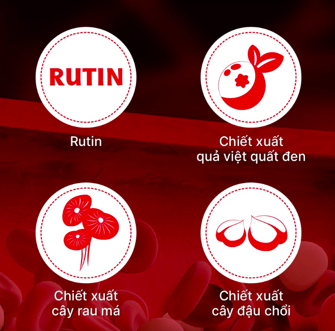 Viên uống hỗ trợ Suy giãn tĩnh mạch Vein Support Drlife 60 viên