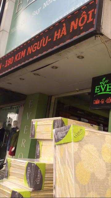 Đệm bông ép Everon