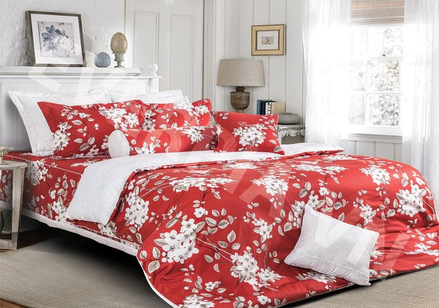 Bộ chăn ga gối Everon