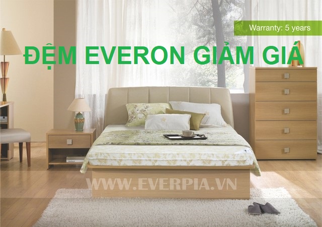 Đệm bông ép Everon có tính năng cứng làm cột sống thẳng