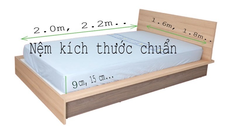 Kích thước đệm Everon