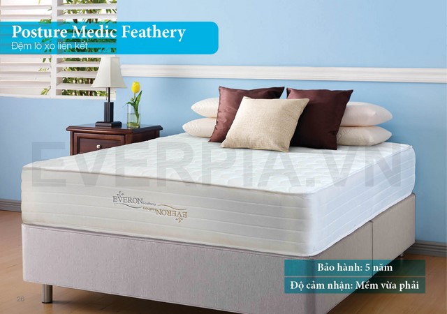 Đệm lò xo Everon Feathery cao cấp