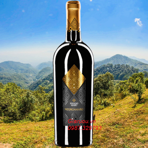 Poggio Maru - Giaruou.vn