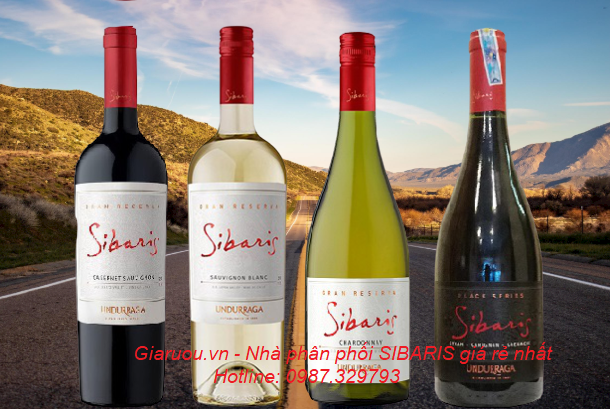 Sibaris - Giaruou.vn