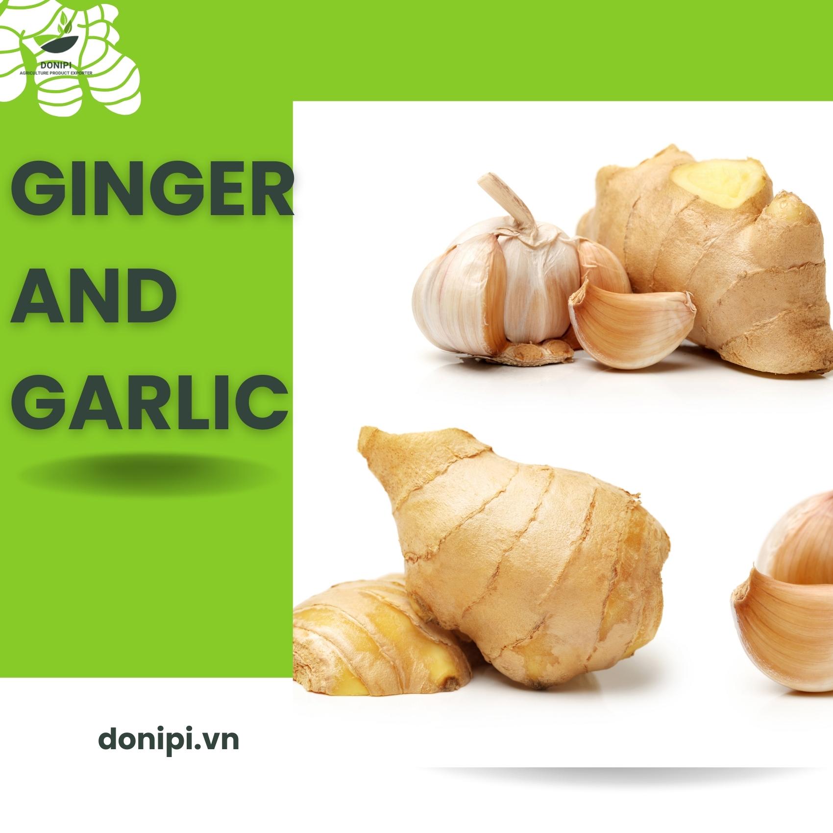 how to store fresh ginger