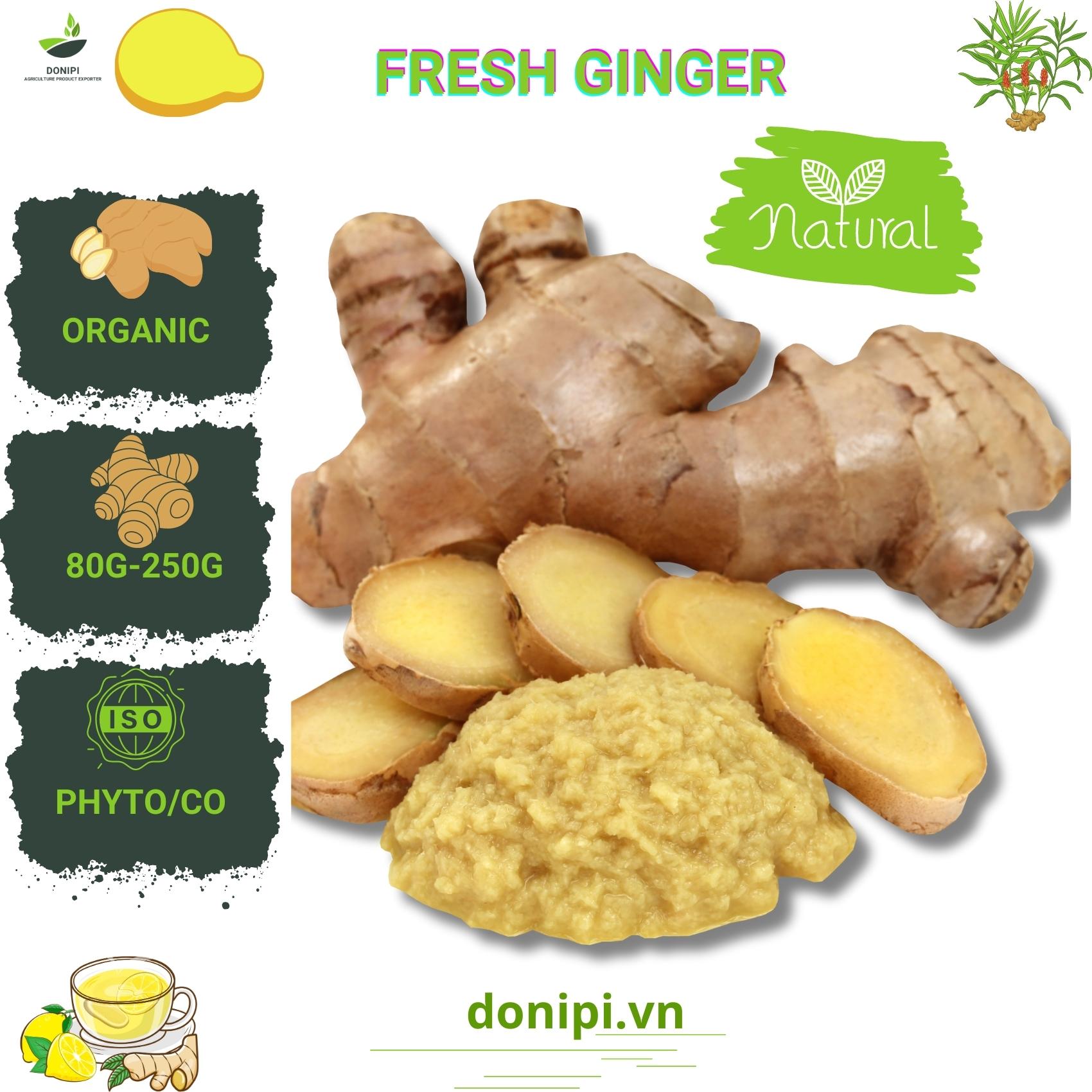 how to store fresh ginger