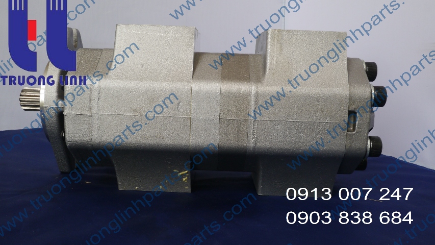 Có 2 loại phớt cho bơm bánh răng ăn khớp ngoài