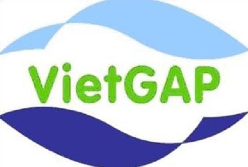 vietgap