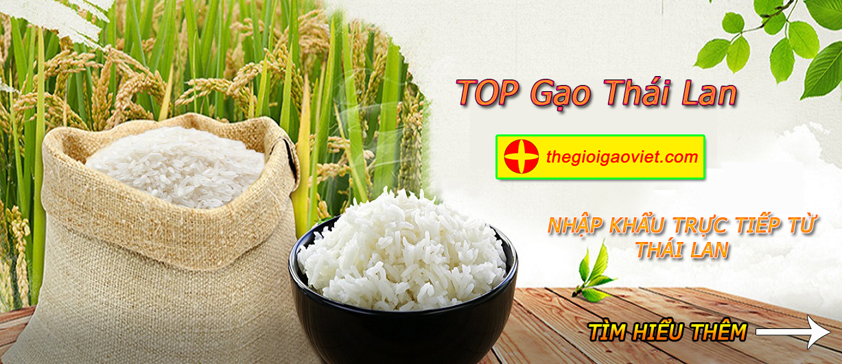 Thế Giới Gạo Việt (thegioigaoviet.com)