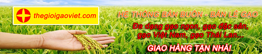 Thế Giới Gạo Việt (thegioigaoviet.com)